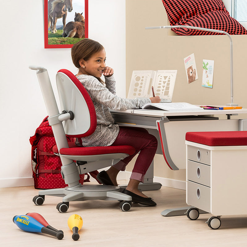 MOLL JOKER  CLASSIC HEIGHT-ADJUSTABLE DESK