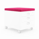 COUSSIN CUBIQUE MOLL CHAMPION