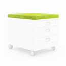 COUSSIN CUBIQUE MOLL CHAMPION